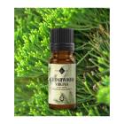 SEEDRIPUU virginia 10 ml