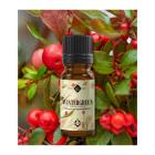 Wintergreen eeterlik õli 10 ml